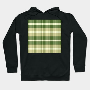 Spring Aesthetic Iagan 2 Hand Drawn Textured Plaid Pattern Hoodie